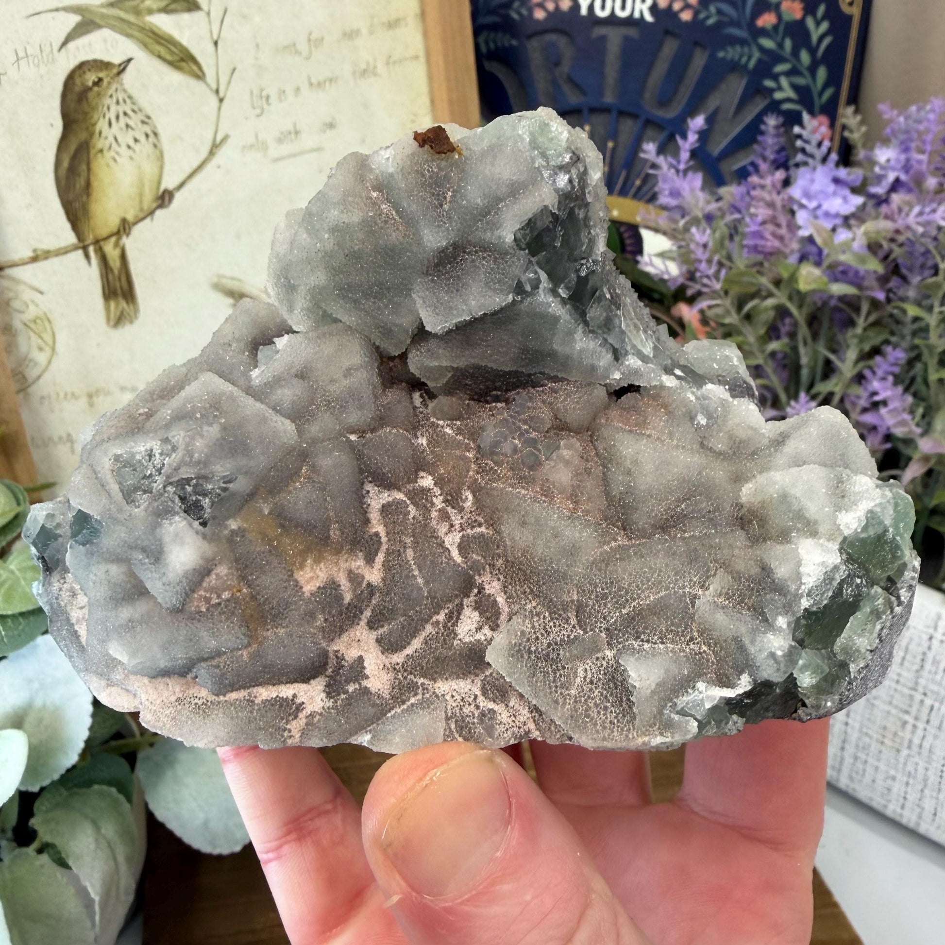 Sparkling Druzy Quartz on Cubic Fluorite | Quartz Epimorphs After Fluorite Cubes | Light Green Fluorite Specimen