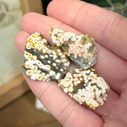 Ocean Jasper Tumble Set | Marovato OJ | Colorful Ocean Jasper Tumbles | Druzy Ocean Jasper