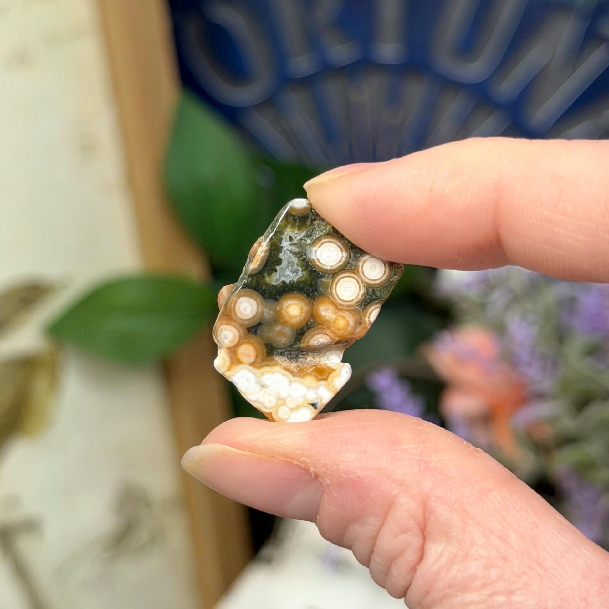 Ocean Jasper Tumble Set | Marovato OJ | Colorful Ocean Jasper Tumbles | Druzy Ocean Jasper