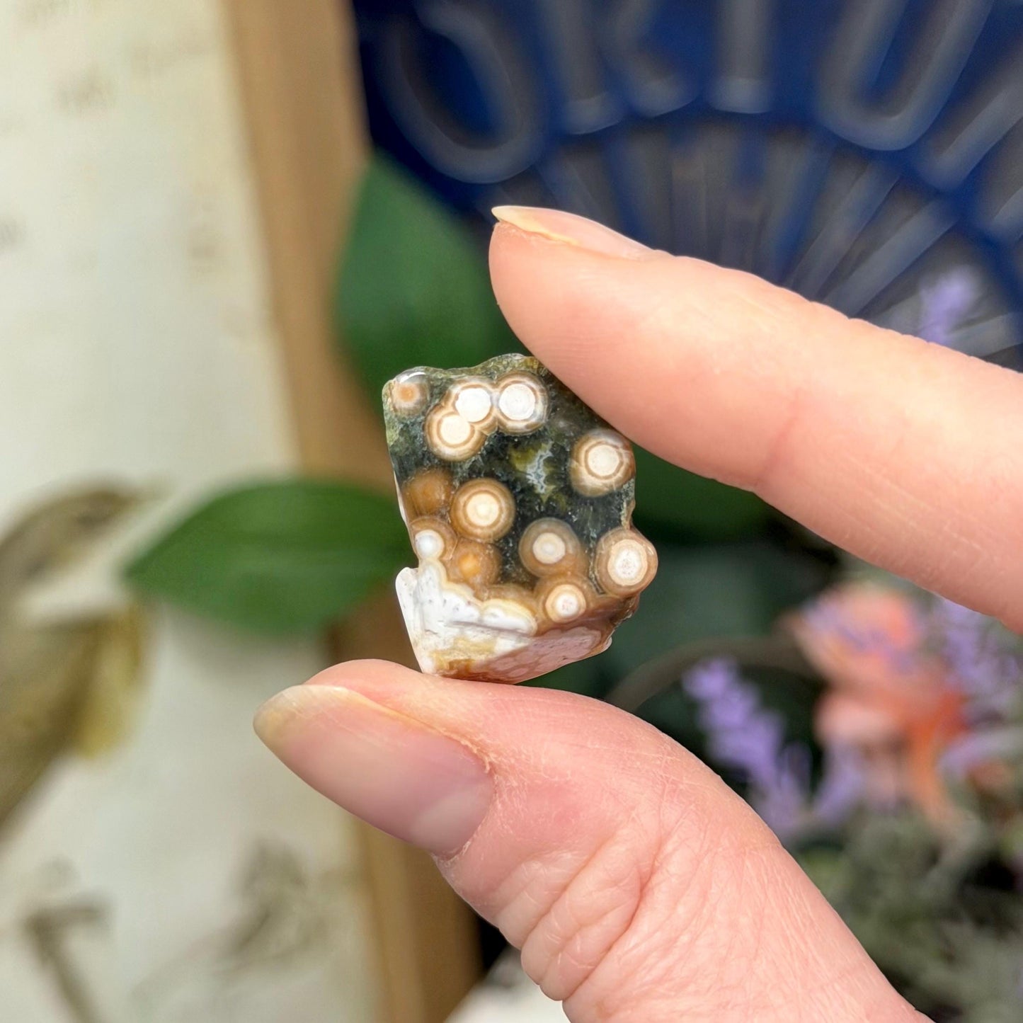 Ocean Jasper Tumble Set | Marovato OJ | Colorful Ocean Jasper Tumbles | Druzy Ocean Jasper