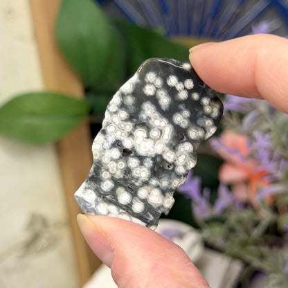 Ocean Jasper Tumble Set | Marovato OJ | Colorful Ocean Jasper Tumbles | Druzy Ocean Jasper