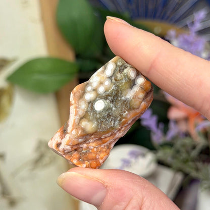 Ocean Jasper Tumble Set | Marovato OJ | Colorful Ocean Jasper Tumbles | Druzy Ocean Jasper