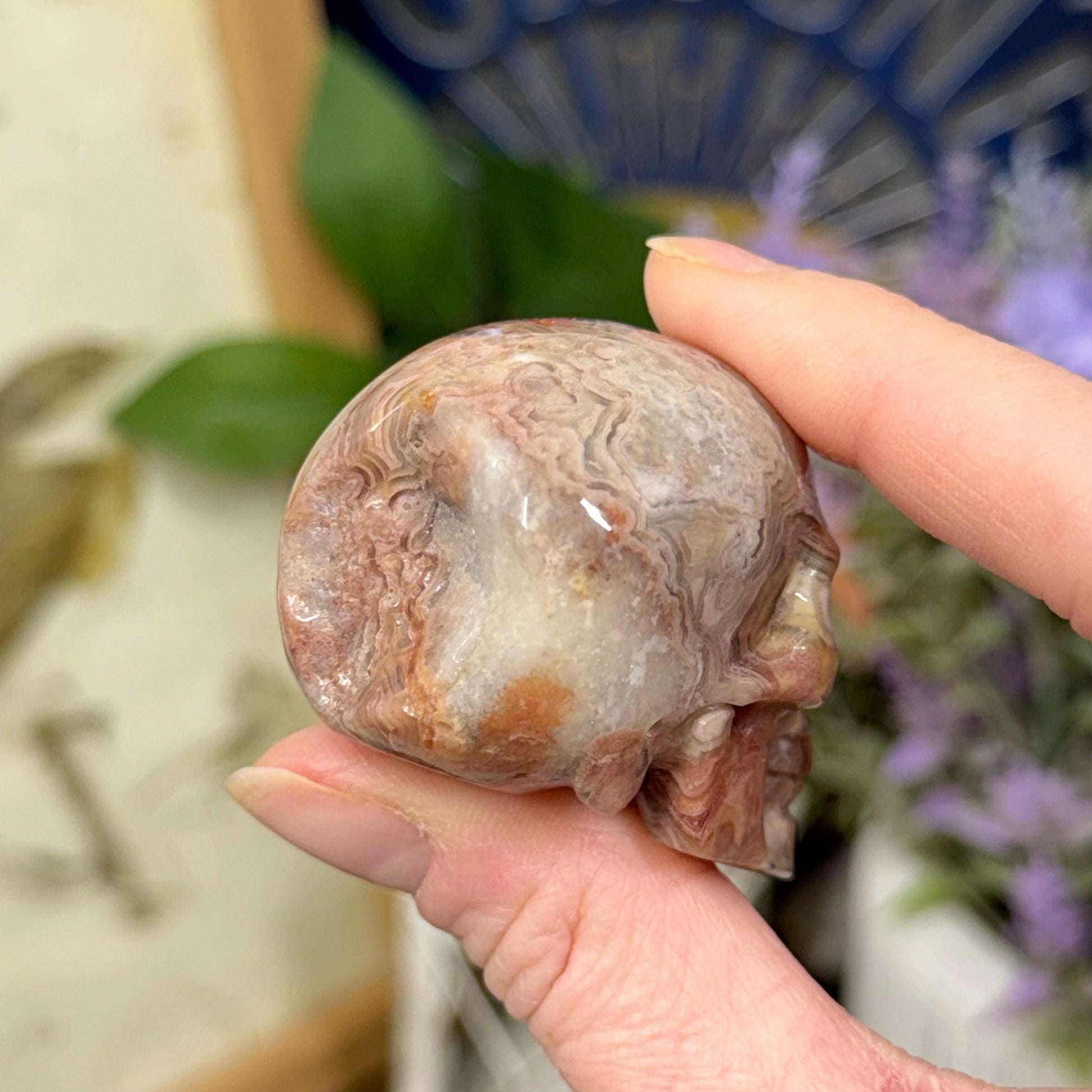 Small Mexican Lace Agate Skull | Crystal Skull | Banded Agate