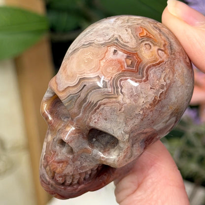 Small Mexican Lace Agate Skull | Crystal Skull | Banded Agate