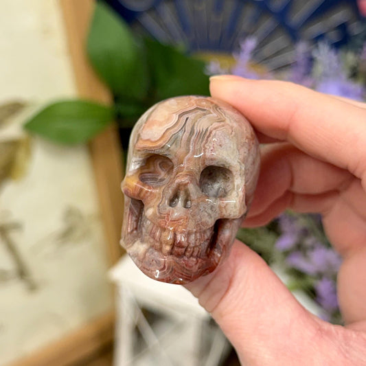 Small Mexican Lace Agate Skull | Crystal Skull | Banded Agate