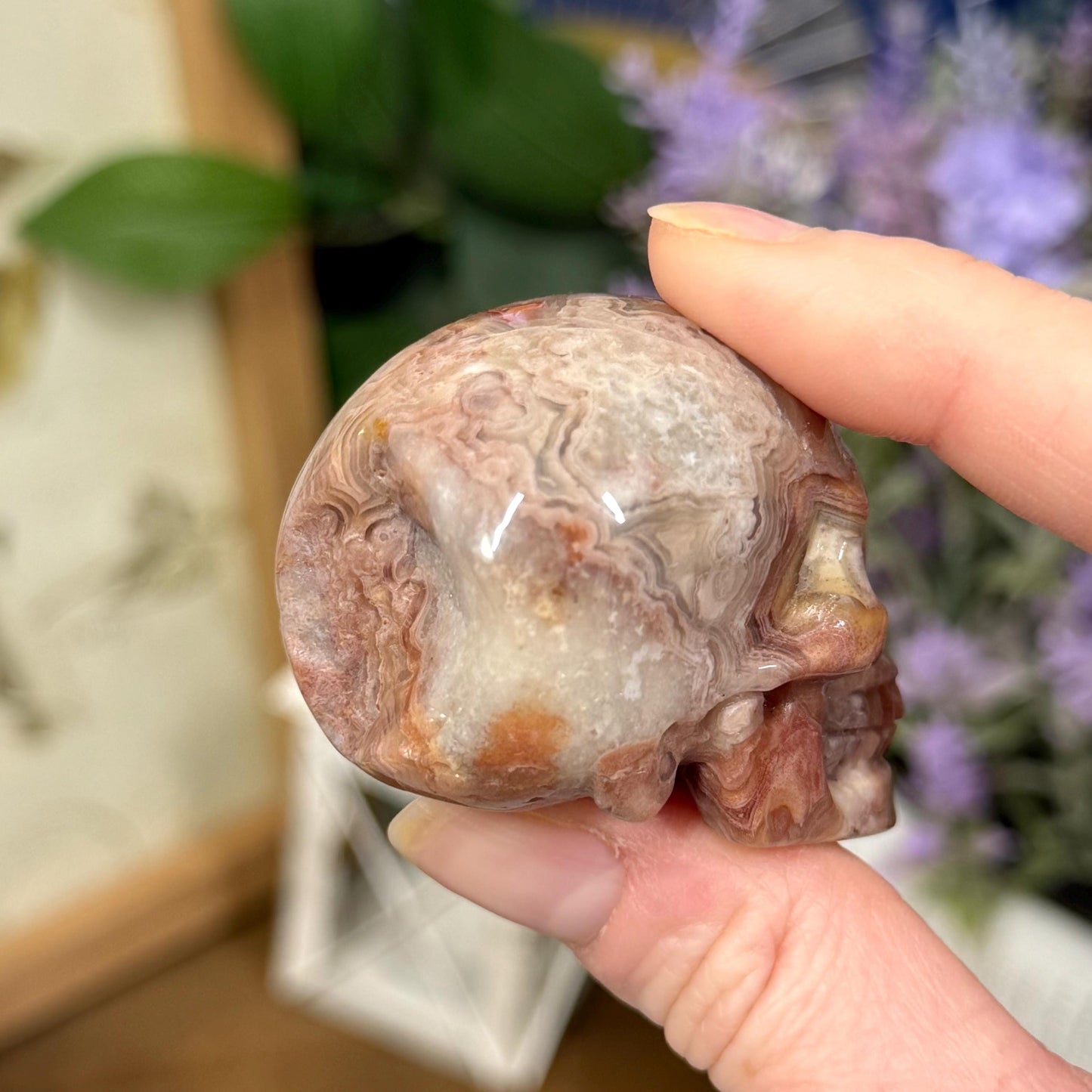 Small Mexican Lace Agate Skull | Crystal Skull | Banded Agate