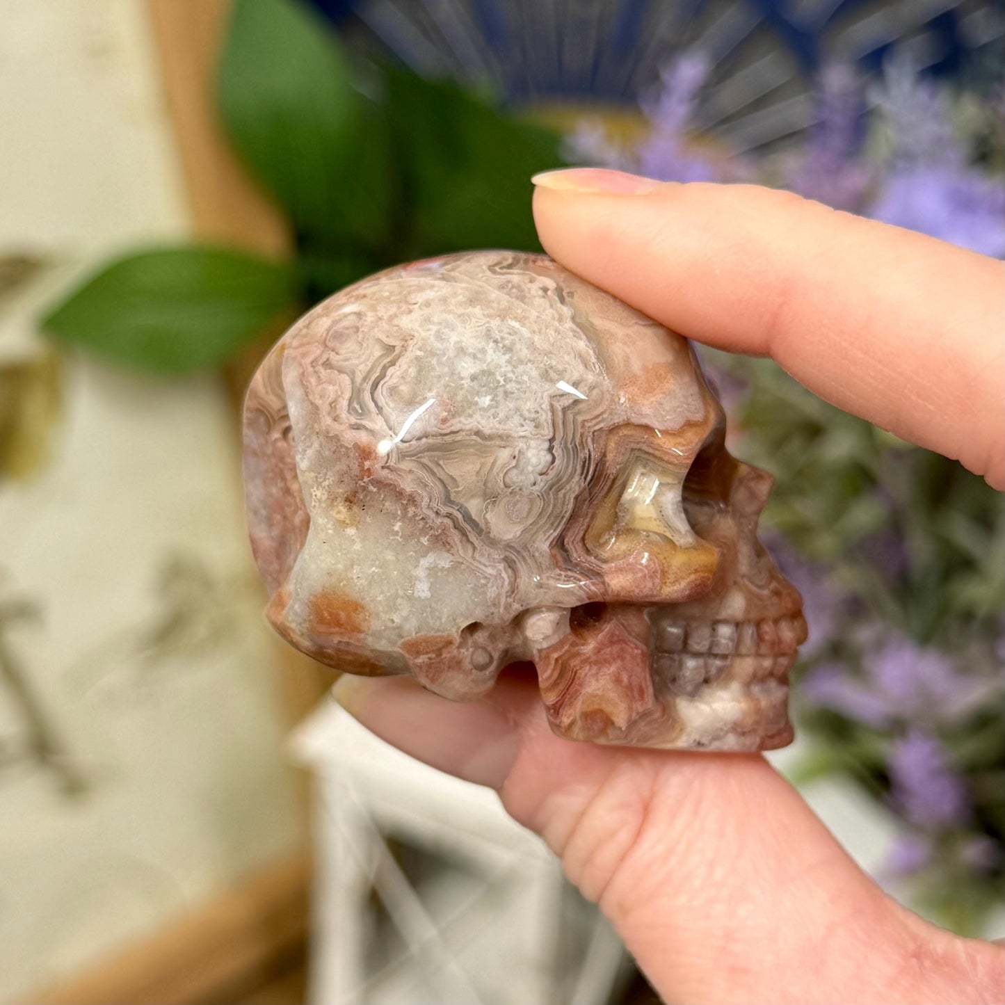 Small Mexican Lace Agate Skull | Crystal Skull | Banded Agate