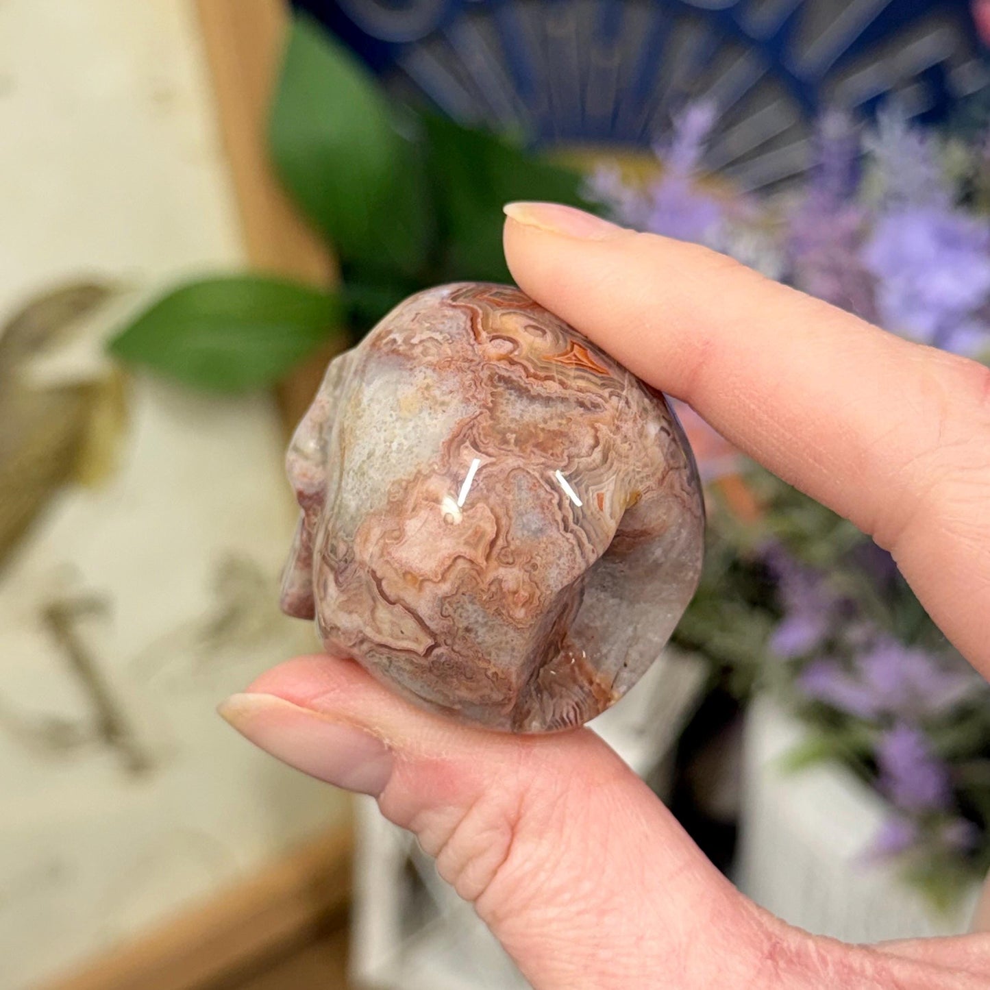 Small Mexican Lace Agate Skull | Crystal Skull | Banded Agate