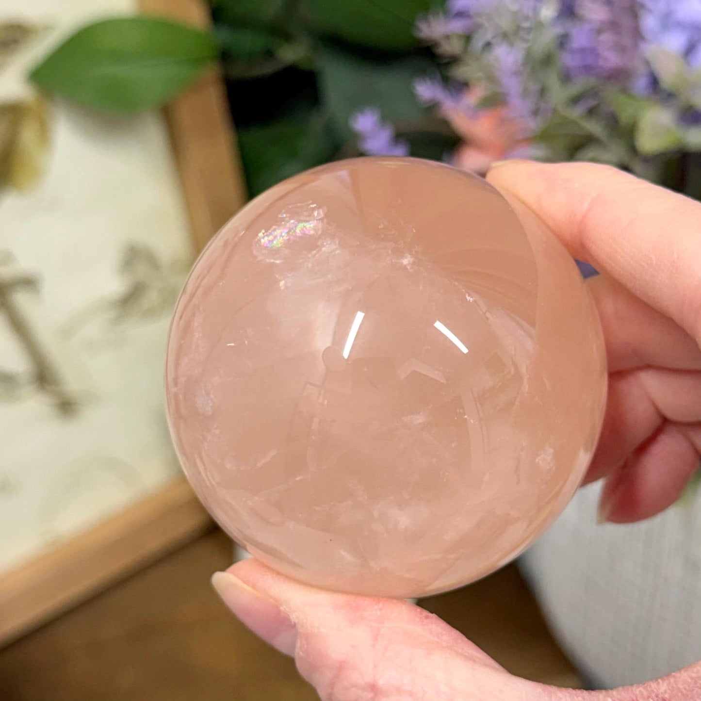 Saturated Rose Quartz Sphere with Asterism | Star Rose Quartz