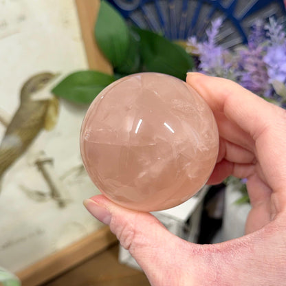 Saturated Rose Quartz Sphere with Asterism | Star Rose Quartz