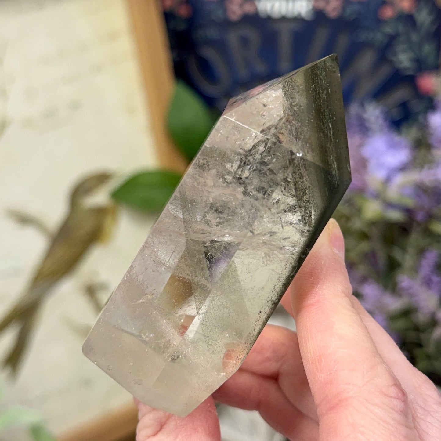 Scenic Lodolite Quartz Tower with Rainbows | Garden Quartz | Green Chlorite Quartz | Chlorite Phantoms | Rainbow Quartz