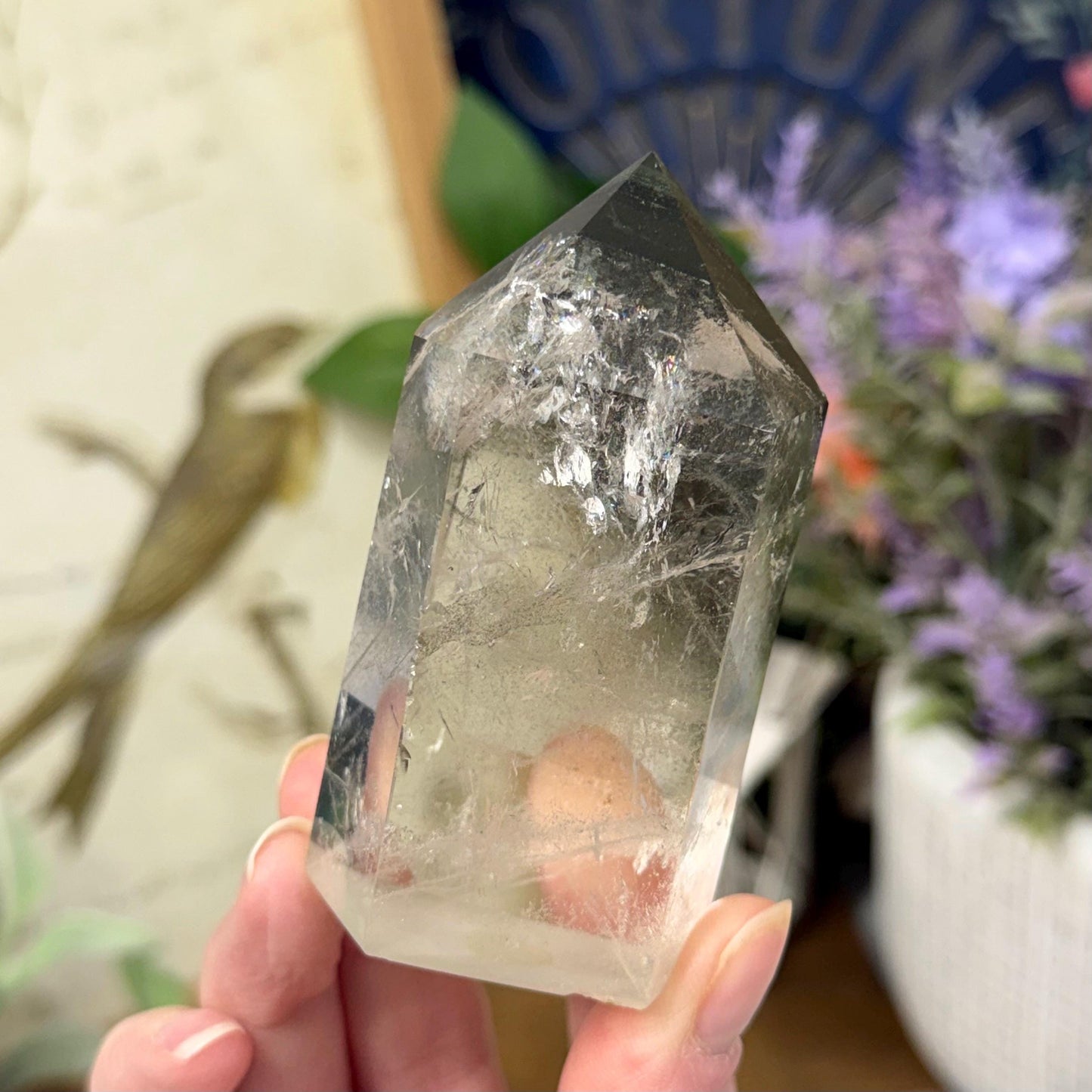 Scenic Lodolite Quartz Tower with Rainbows | Garden Quartz | Green Chlorite Quartz | Chlorite Phantoms | Rainbow Quartz