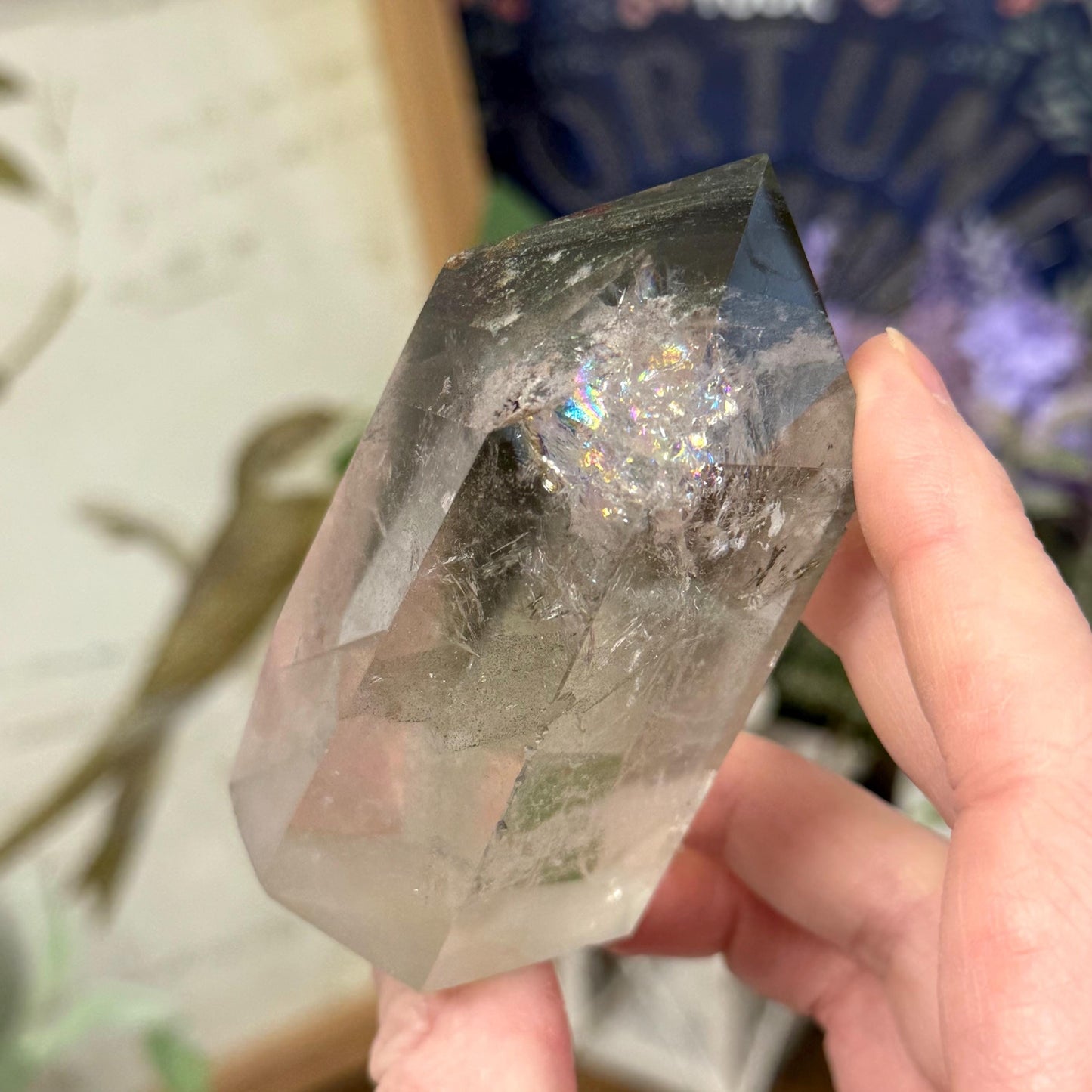 Scenic Lodolite Quartz Tower with Rainbows | Garden Quartz | Green Chlorite Quartz | Chlorite Phantoms | Rainbow Quartz