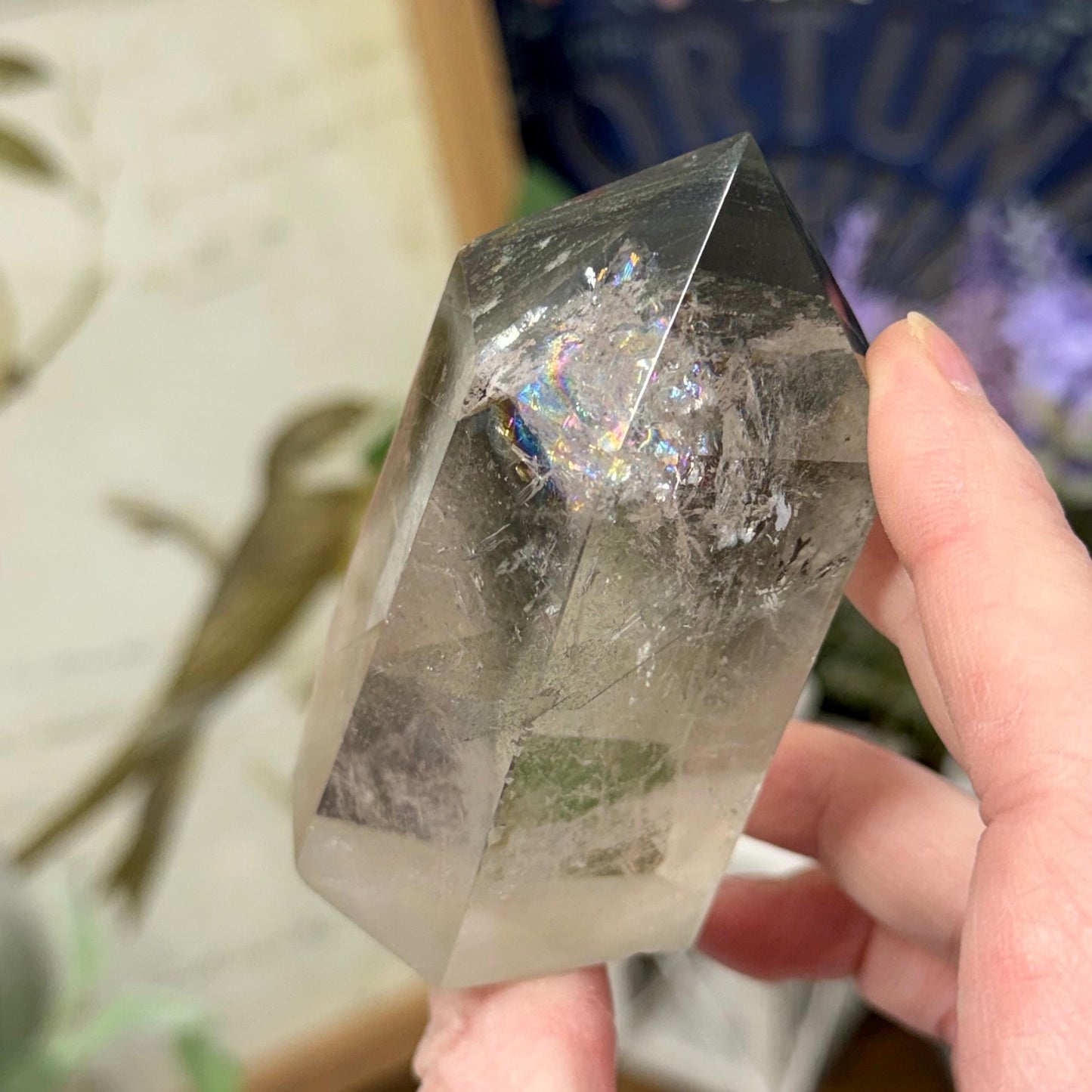 Scenic Lodolite Quartz Tower with Rainbows | Garden Quartz | Green Chlorite Quartz | Chlorite Phantoms | Rainbow Quartz