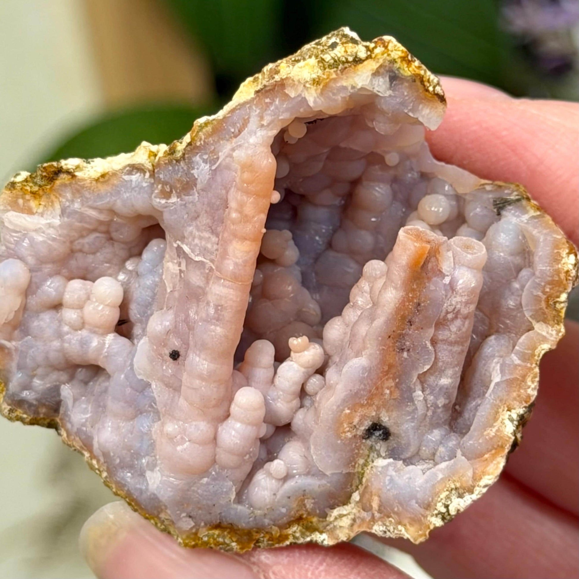 Raw Pink Botryoidal Chalcedony Specimen from Morocco | Chalcedony Geode