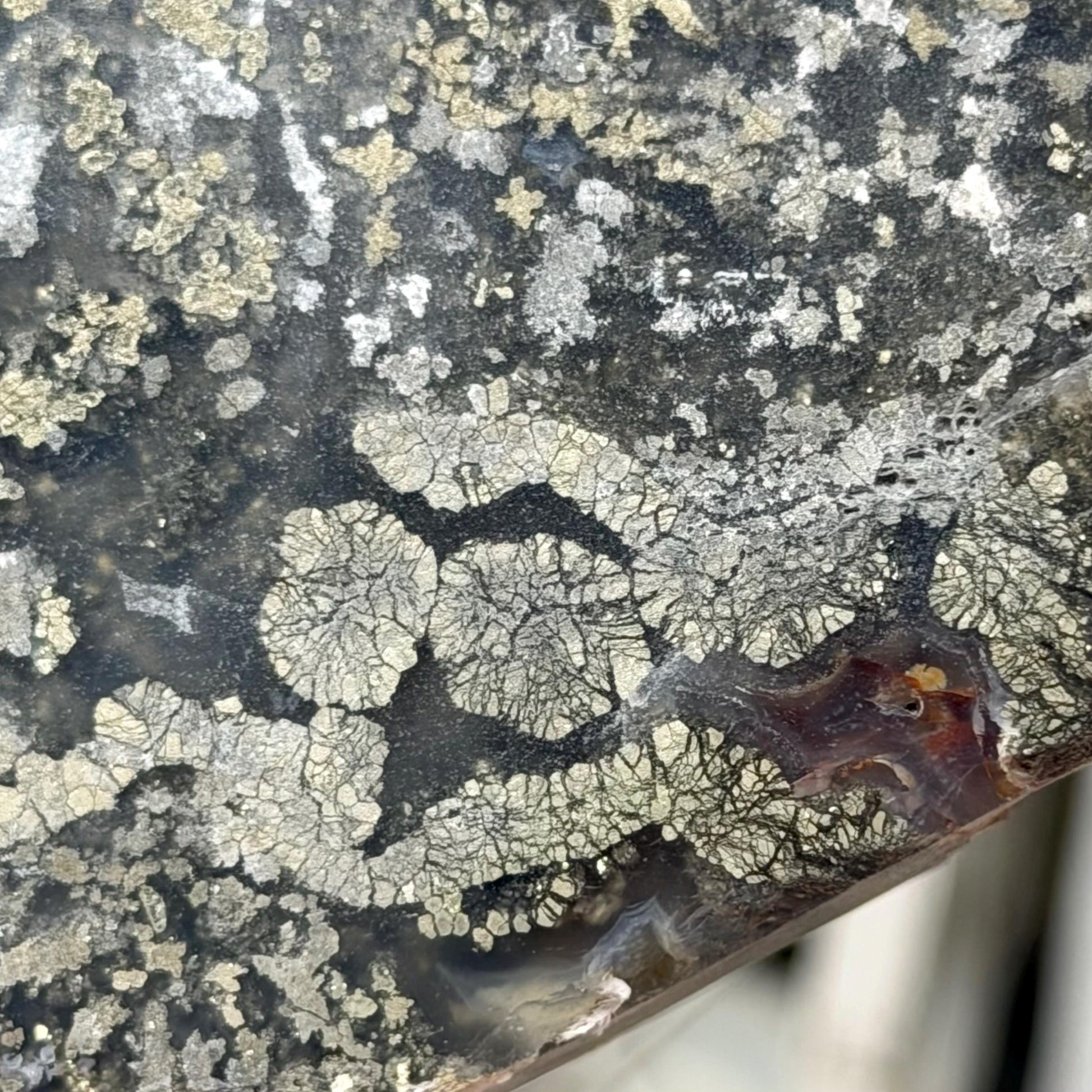 Marcasite in Agate Slab | Nipomo Agate