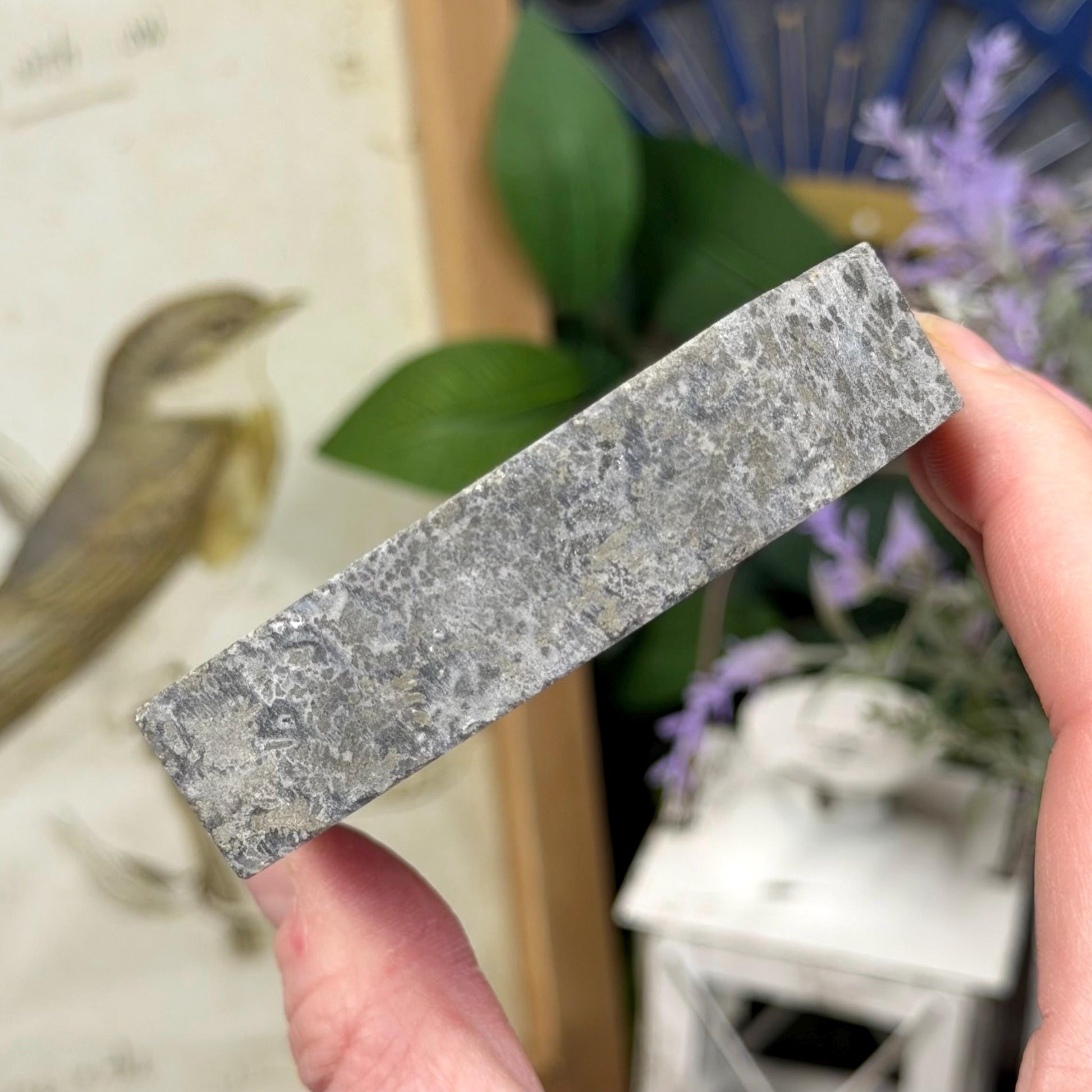 Marcasite in Agate Slab | Nipomo Agate