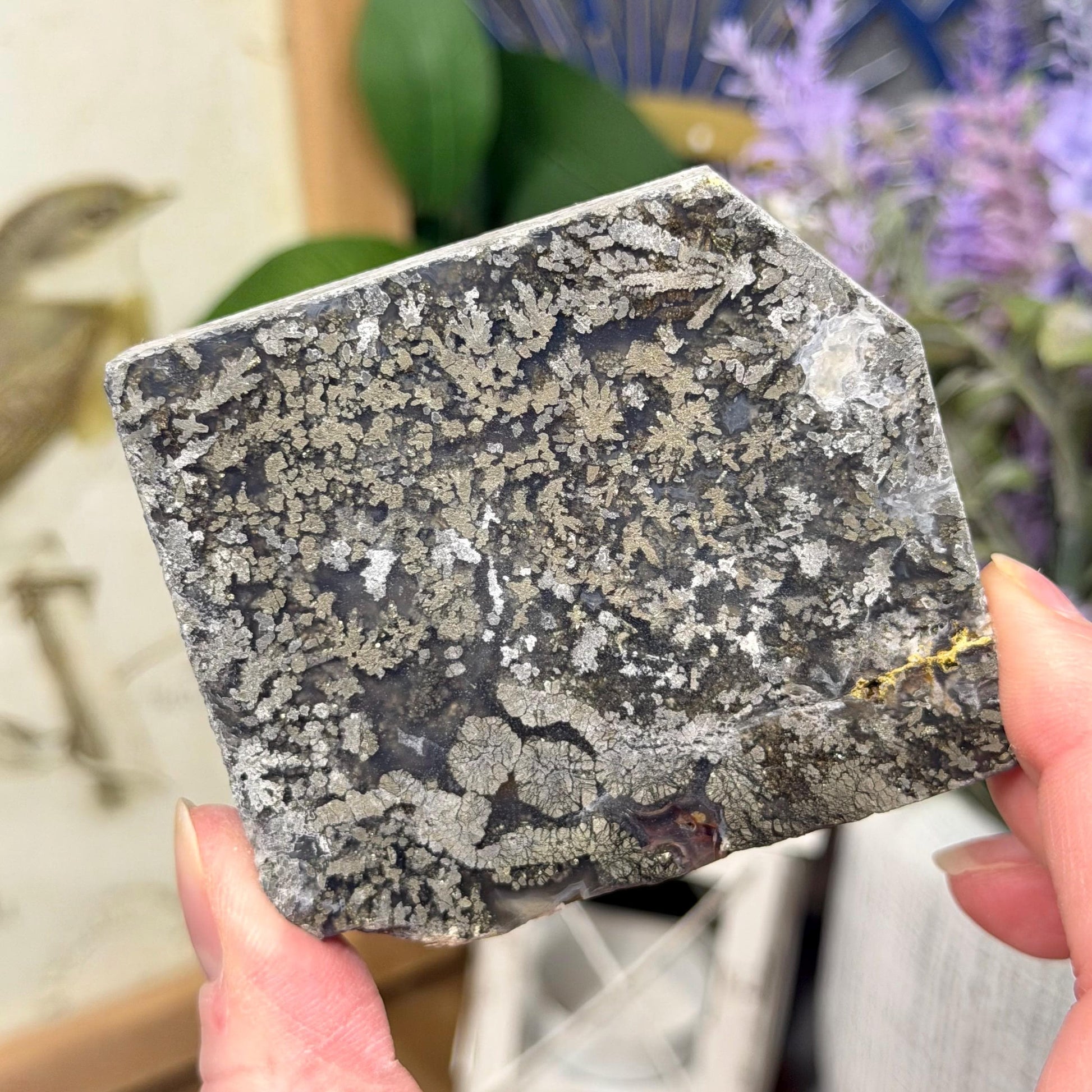 Marcasite in Agate Slab | Nipomo Agate
