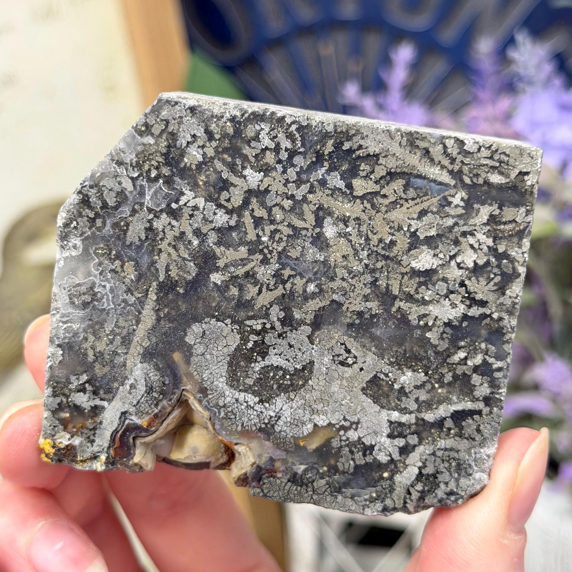 Marcasite in Agate Slab | Nipomo Agate