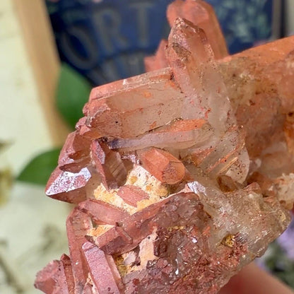 Hematite Quartz Cluster | Tangerine Quartz | Quartz with Iron Oxide Coating | Orange Quartz Specimen