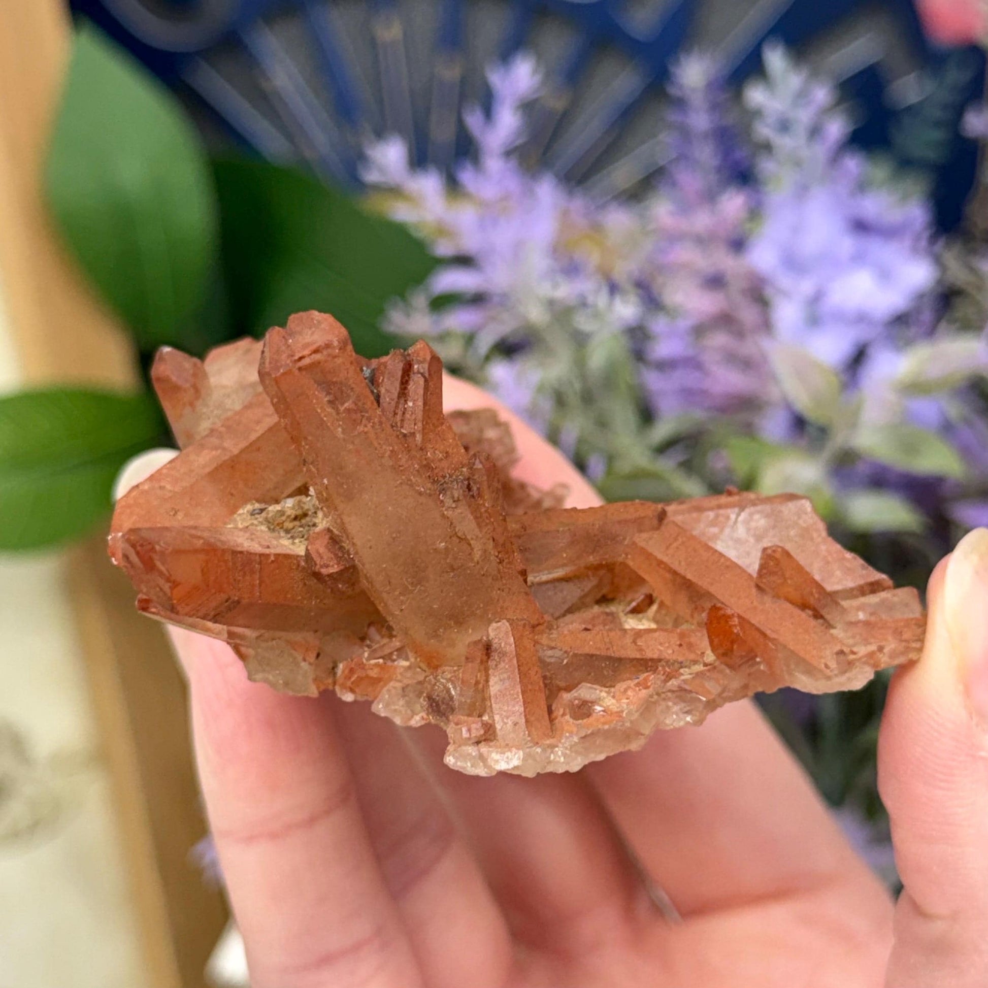 Hematite Quartz Cluster | Tangerine Quartz | Quartz with Iron Oxide Coating | Orange Quartz Specimen