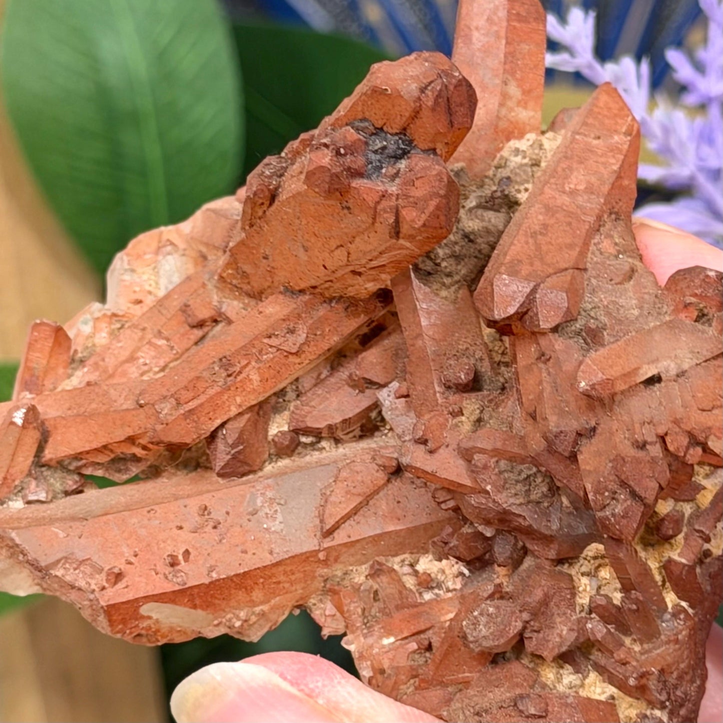 Hematite Quartz Cluster | Tangerine Quartz | Quartz with Iron Oxide Coating | Orange Quartz Specimen