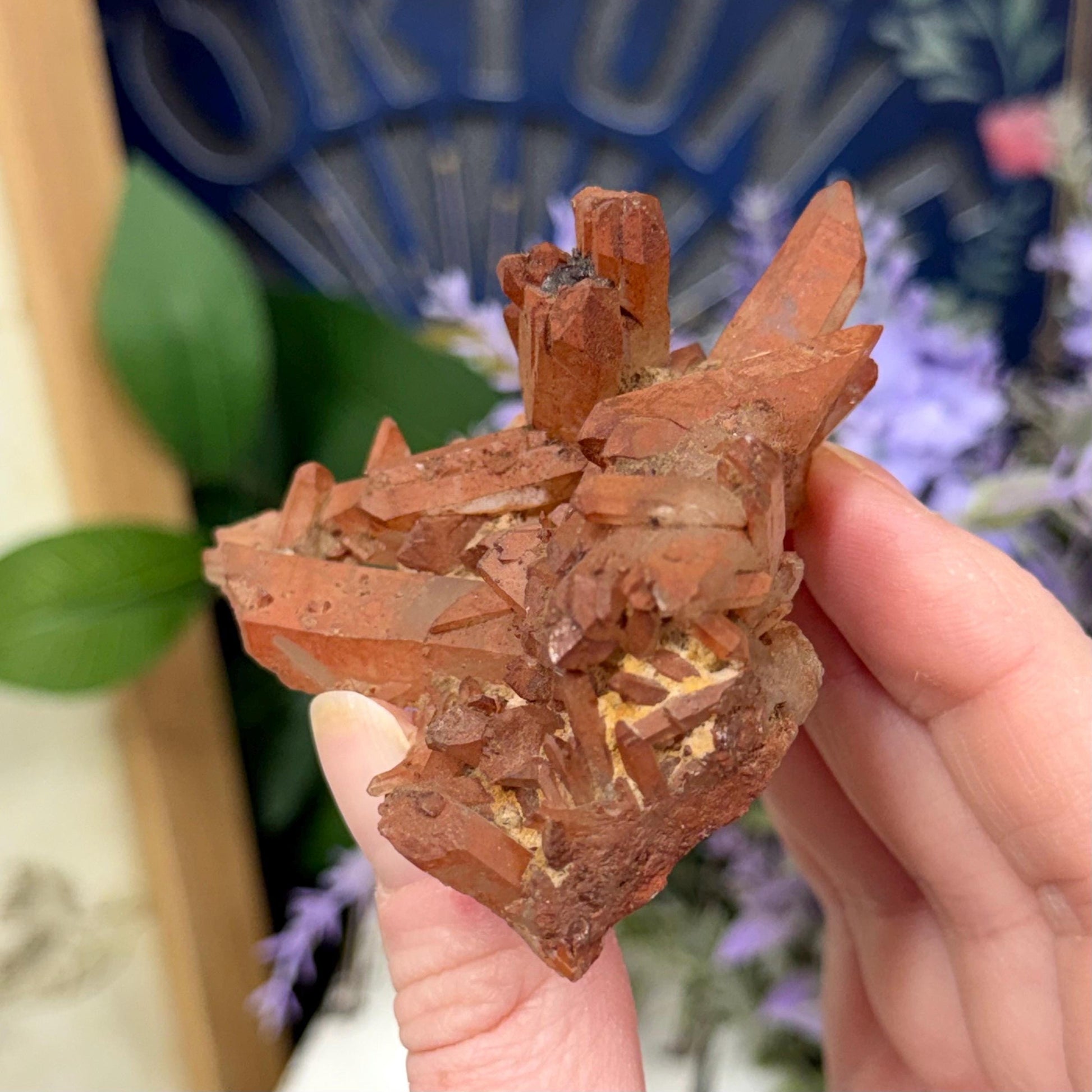 Hematite Quartz Cluster | Tangerine Quartz | Quartz with Iron Oxide Coating | Orange Quartz Specimen