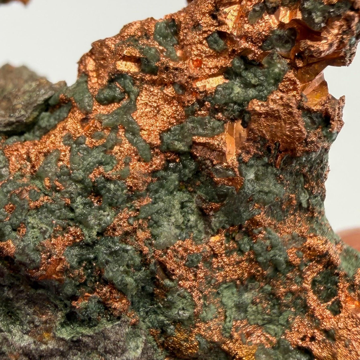 Native Copper Specimen | Small Display-Grade Natural Michigan Copper | Unique Keweenaw Peninsula Copper Formation