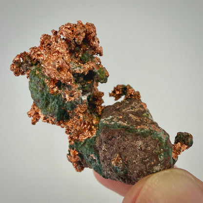 Native Copper Specimen | Small Display-Grade Natural Michigan Copper | Unique Keweenaw Peninsula Copper Formation
