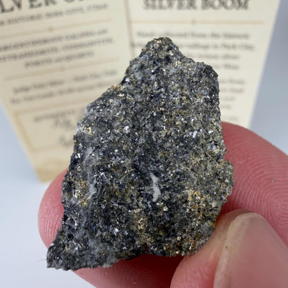 Historic Silver Ore | 8g | Silver-Bearing Galena & Pyrite from Park City, Utah | Judge Daly Mine | Certified Provenance/Display Card (#005)