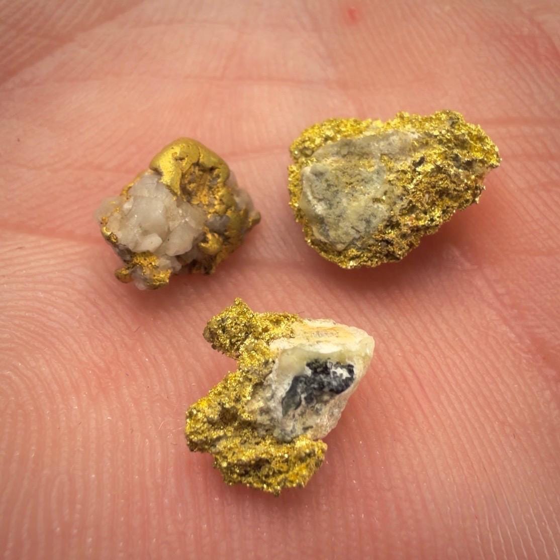 California Gold on Quartz Specimen Lot | Nevada County & Grass Valley | 1.50g Natural Gold Nuggets