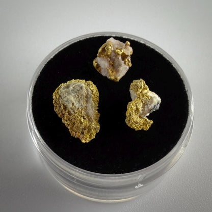 California Gold on Quartz Specimen Lot | Nevada County & Grass Valley | 1.50g Natural Gold Nuggets
