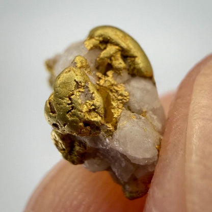 California Gold on Quartz Specimen Lot | Nevada County & Grass Valley | 1.50g Natural Gold Nuggets