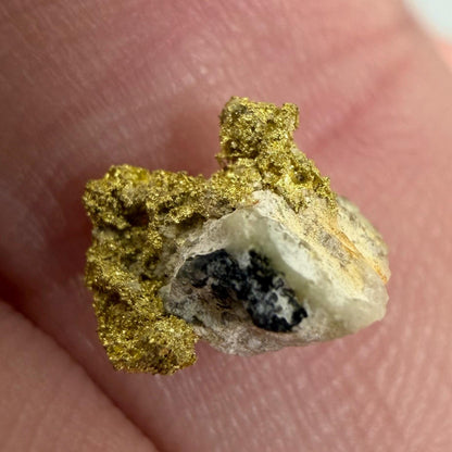 California Gold on Quartz Specimen Lot | Nevada County & Grass Valley | 1.50g Natural Gold Nuggets