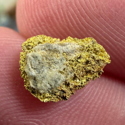 California Gold on Quartz Specimen Lot | Nevada County & Grass Valley | 1.50g Natural Gold Nuggets