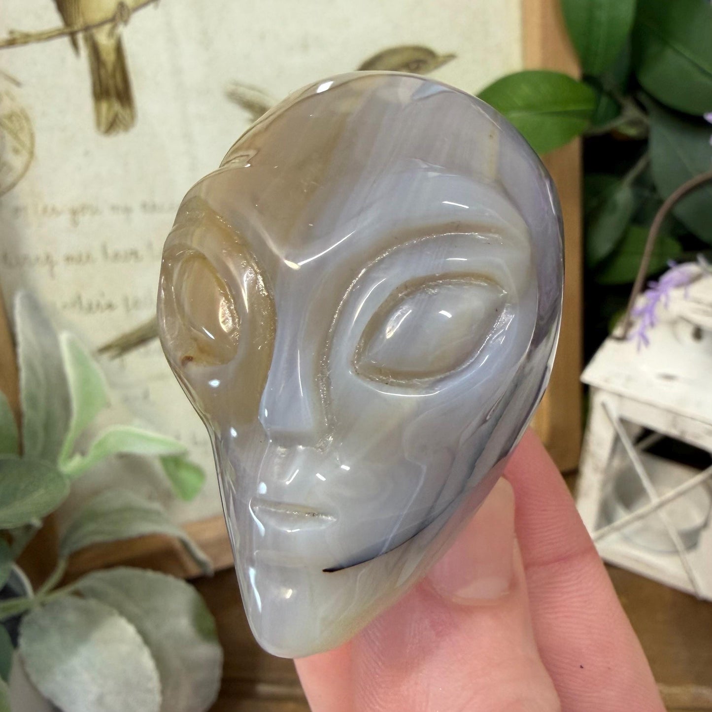 Agate Alien Head | Crystal Alien Carving