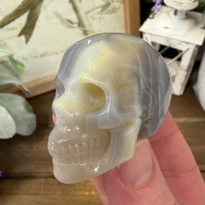 Small Banded Agate Skull | Crystal Skull | Quartz Skull