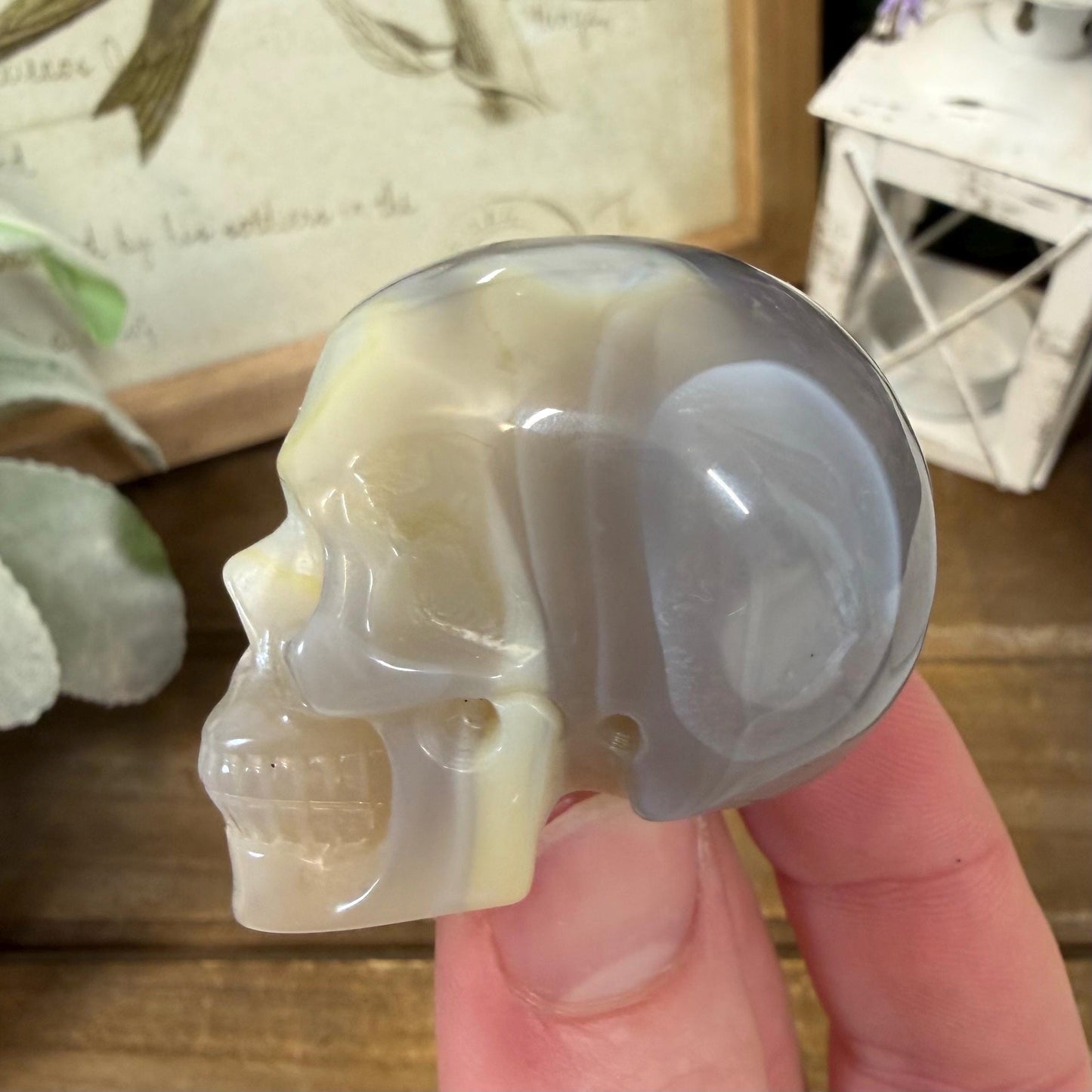 Small Banded Agate Skull | Crystal Skull | Quartz Skull