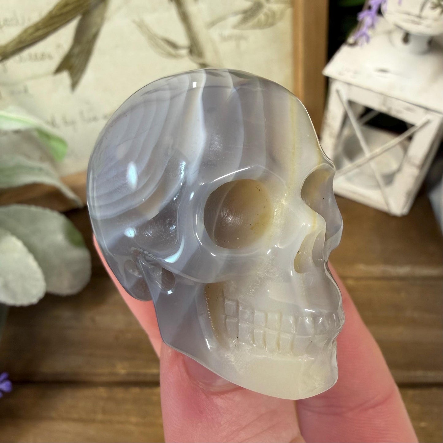 Small Banded Agate Skull | Crystal Skull | Quartz Skull