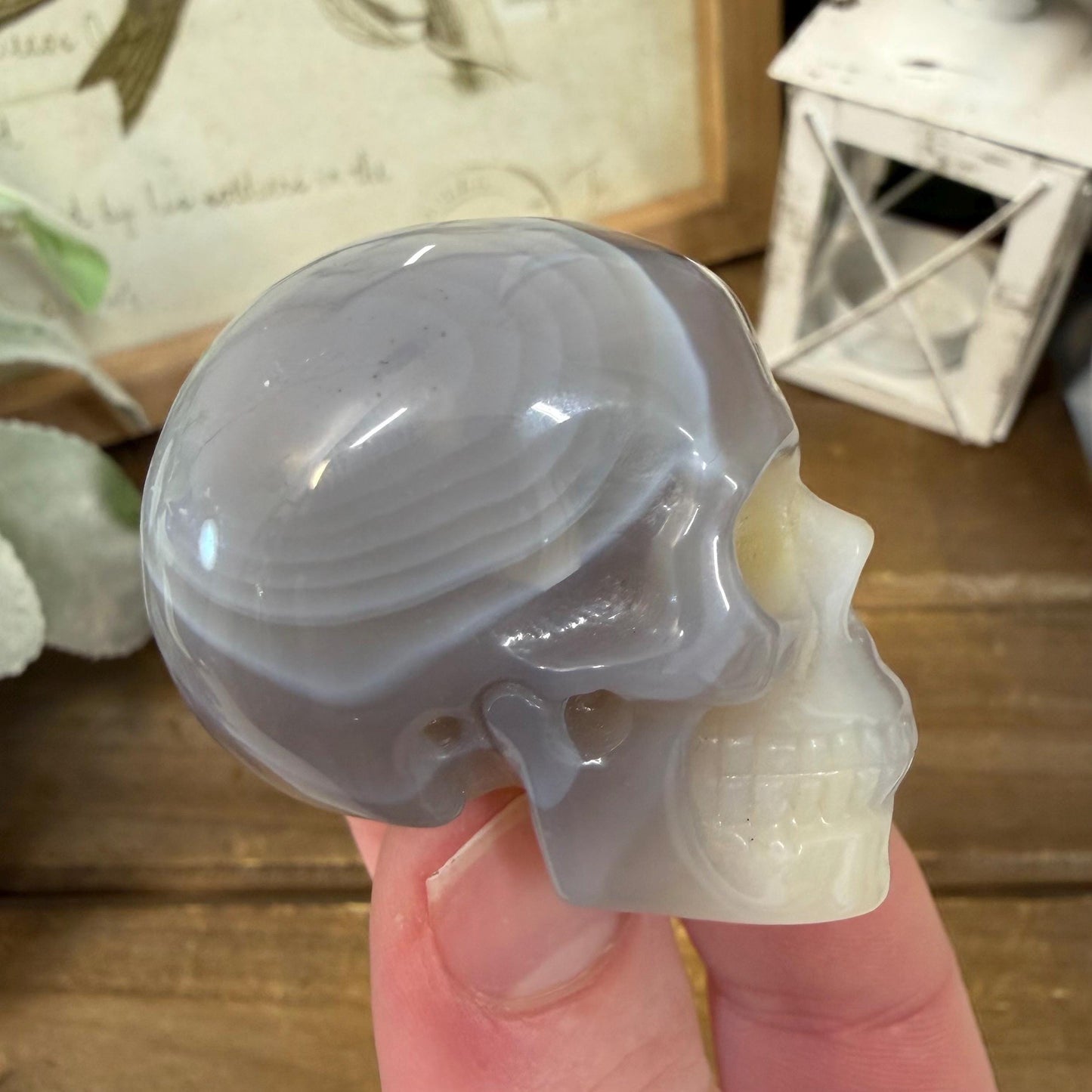 Small Banded Agate Skull | Crystal Skull | Quartz Skull