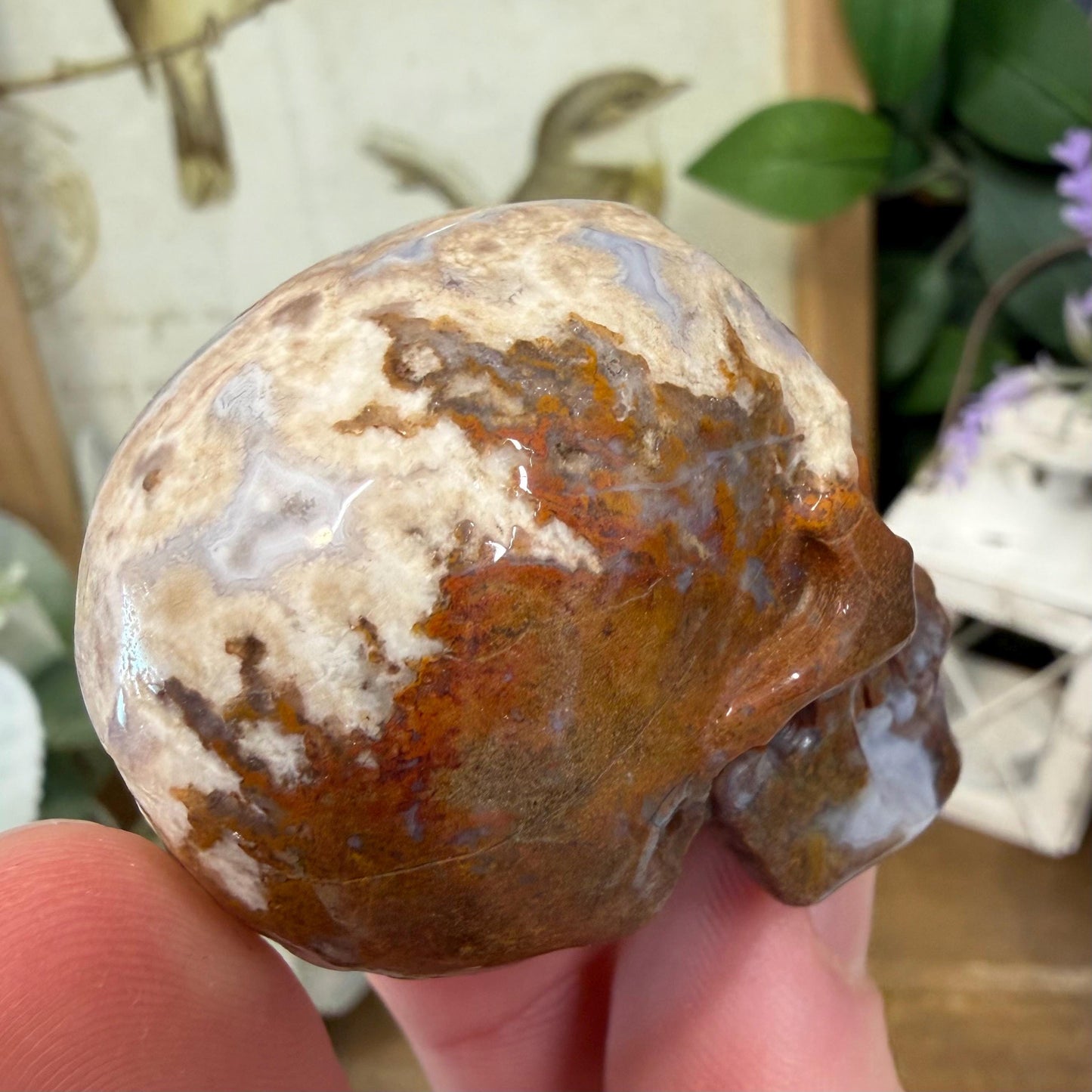 Small Mexican Lace Agate Skull | Crystal Skull | Banded Agate