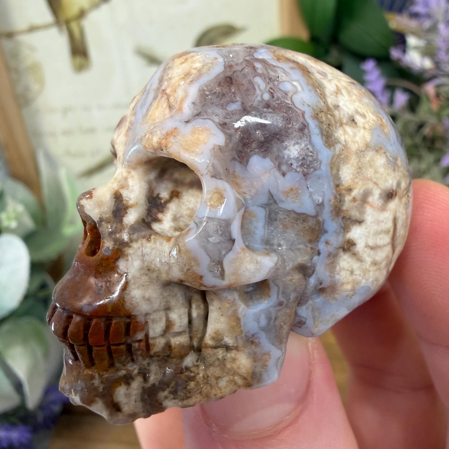 Small Mexican Lace Agate Skull | Crystal Skull | Banded Agate