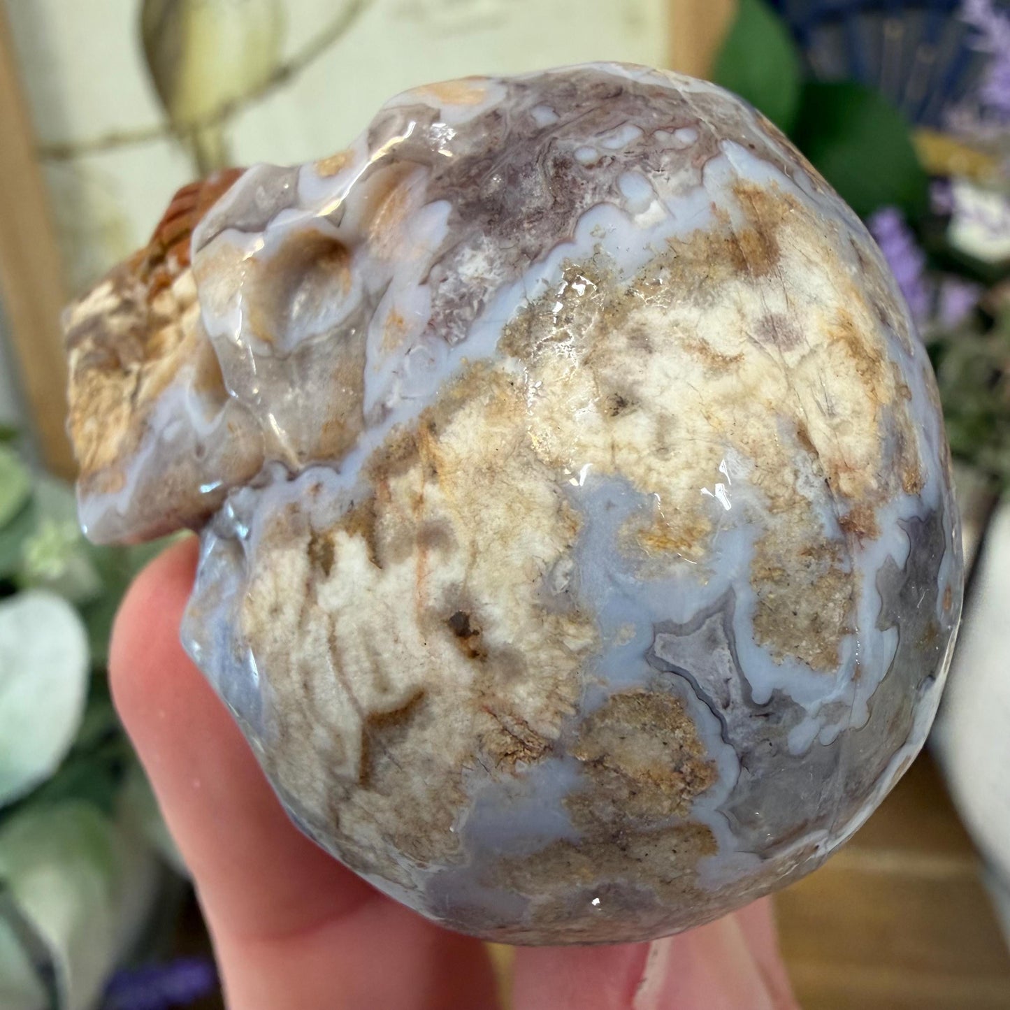 Small Mexican Lace Agate Skull | Crystal Skull | Banded Agate
