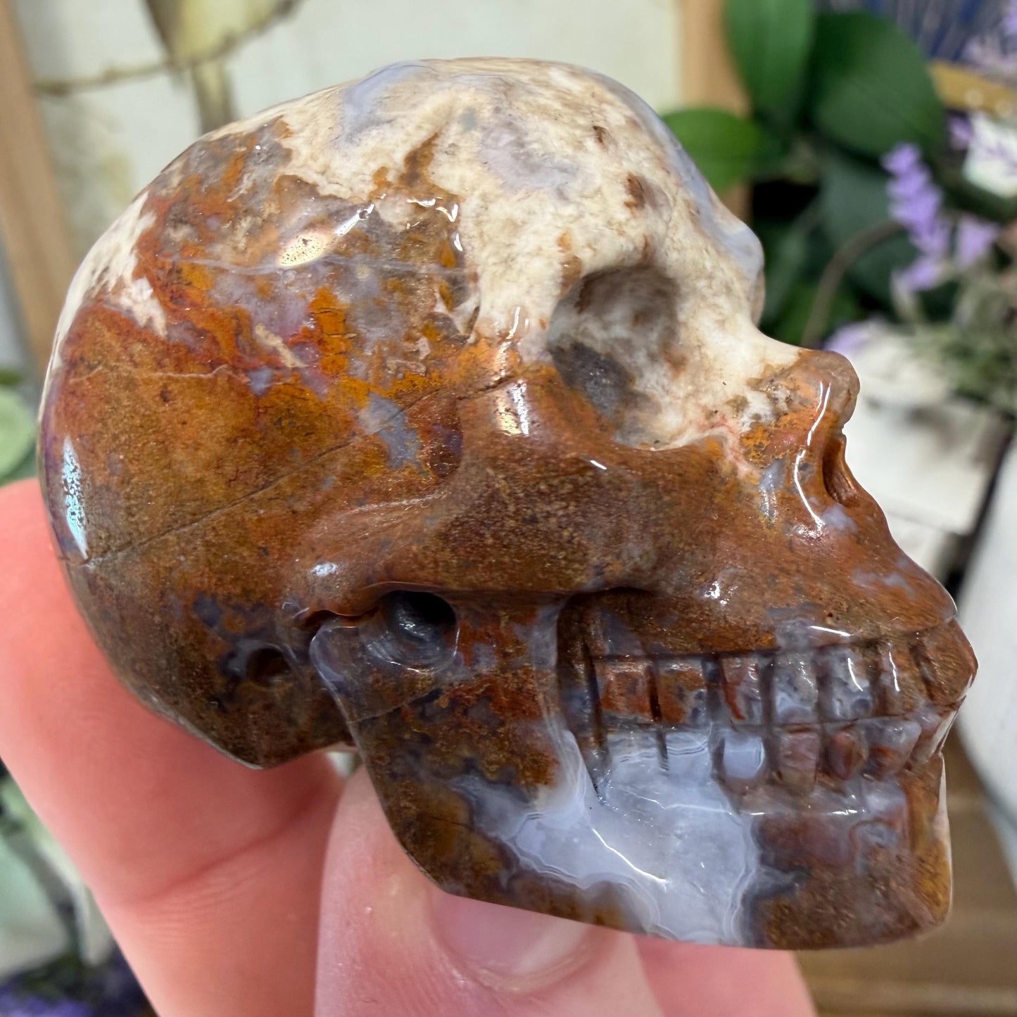 Small Mexican Lace Agate Skull | Crystal Skull | Banded Agate