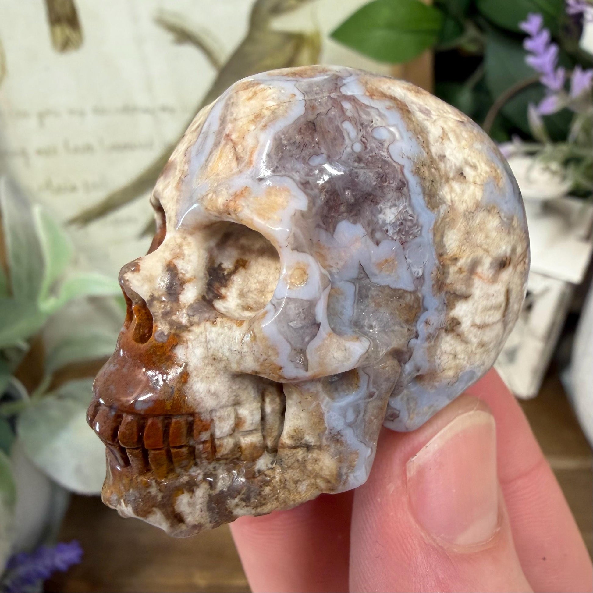 Small Mexican Lace Agate Skull | Crystal Skull | Banded Agate