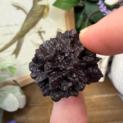 Unique Large Prophecy Stone | Beautiful Symmetrical Growth Patterns