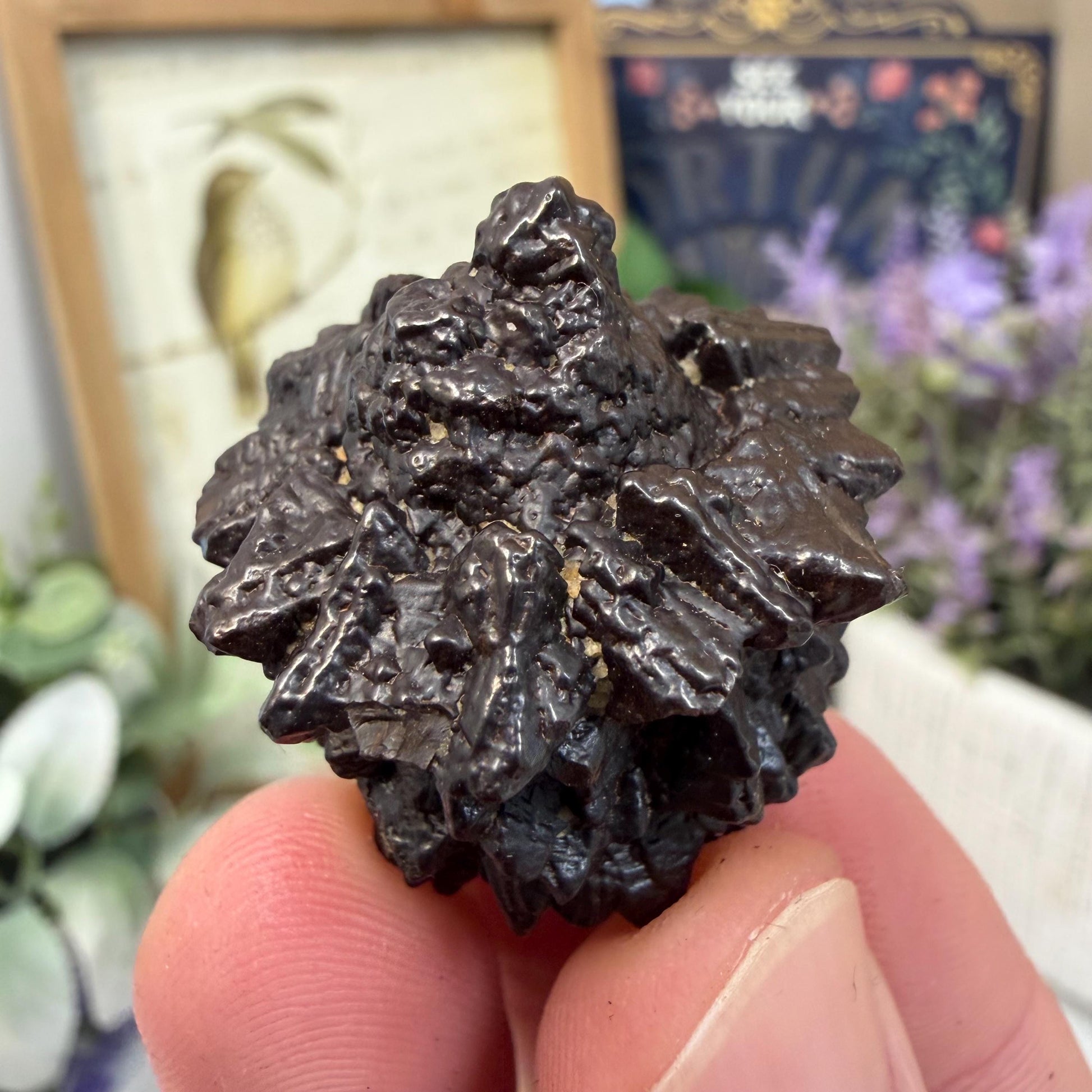 Unique Large Prophecy Stone | Beautiful Symmetrical Growth Patterns