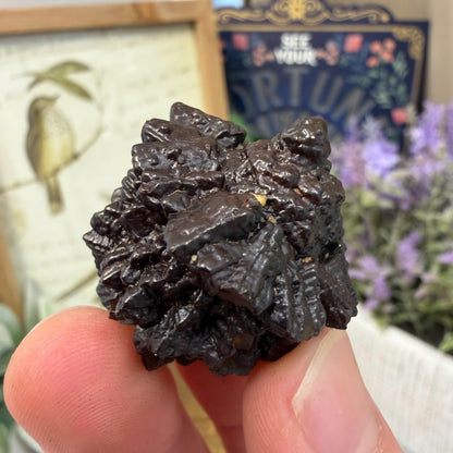 Unique Large Prophecy Stone | Beautiful Symmetrical Growth Patterns