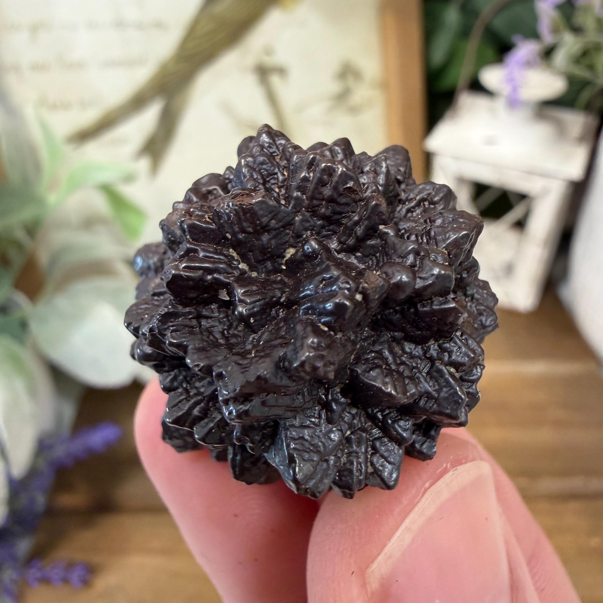 Unique Large Prophecy Stone | Beautiful Symmetrical Growth Patterns