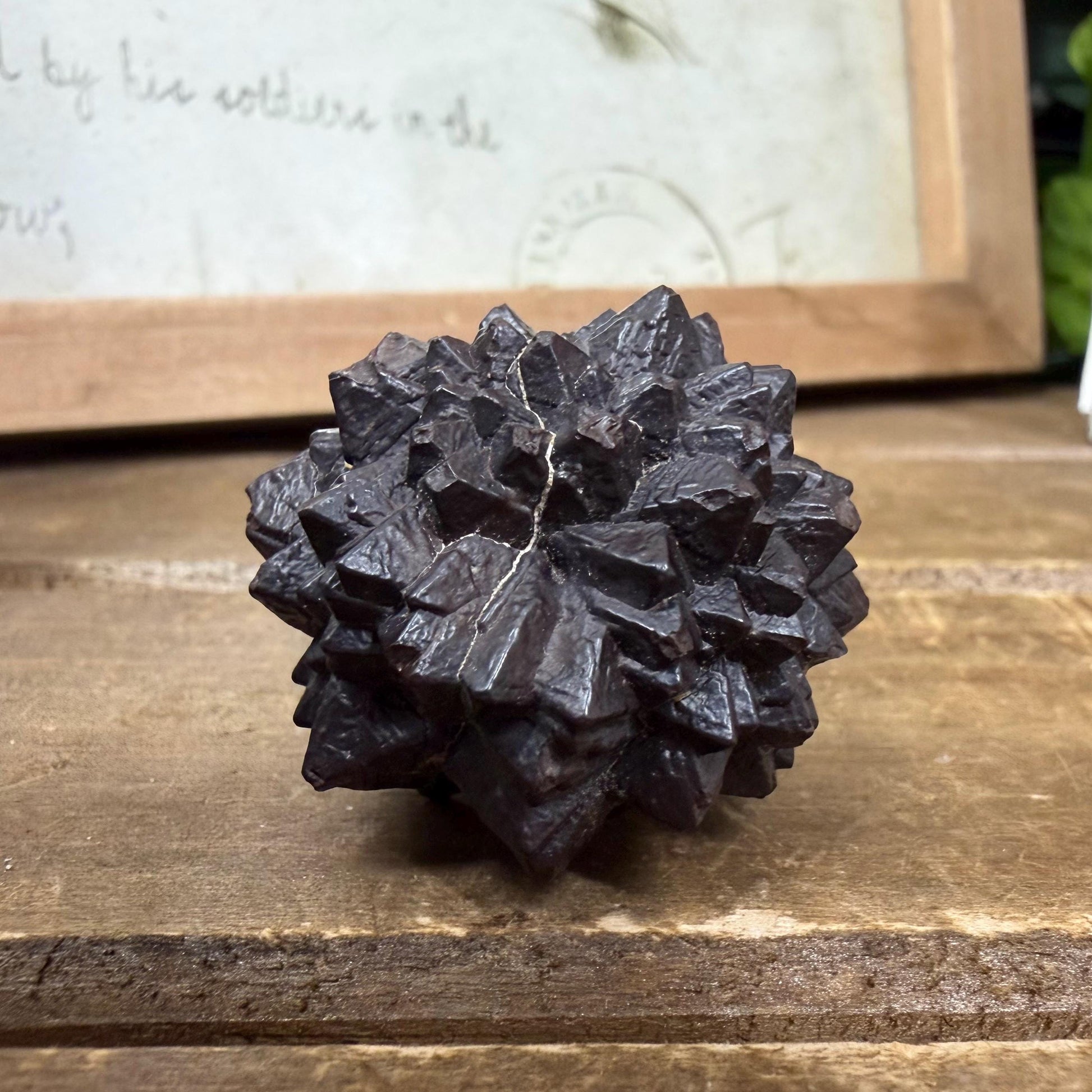 Unique Large Prophecy Stone | Displays Visible Growth Core